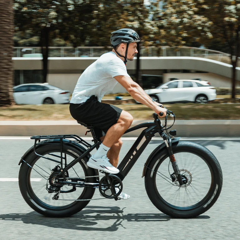 Bodywel D6 Fat Tire Mountain Ebike BAFANG Brushless Motor SHIMANO
