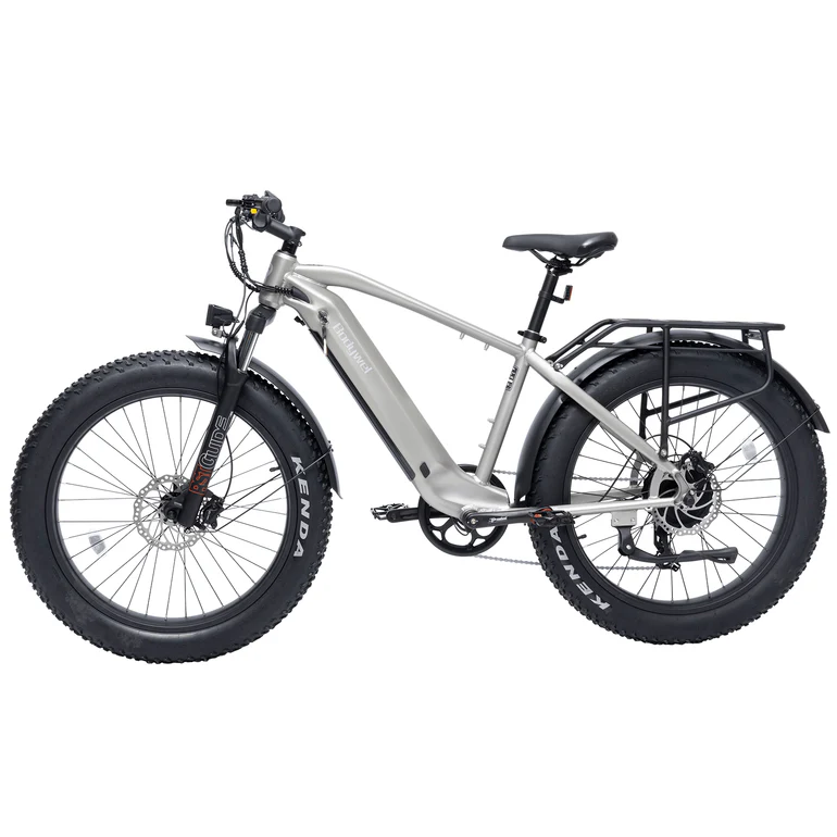 Bodywel D6 Fat Tire Mountain Ebike BAFANG Brushless Motor SHIMANO