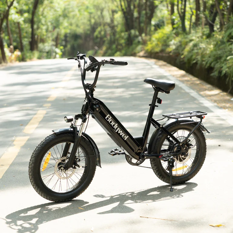 Bodywel F20 City & Touring Ebike SHIMANO 48V 20*3 Inch Fat Tire