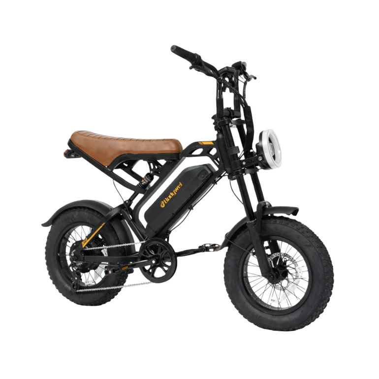 bodywel-m16-fat-tire-e-bike-9170073 Bodywel M16 Vintage Motorcycle E-Bike 48V 16*4 Inch Fat Tires