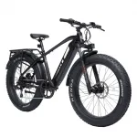 bodywel-d6-fat-tire-touring-ebike-long-range-3258013
